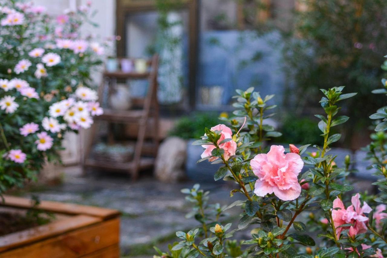 Dali Buxianshan Boutique Guesthouse-In Dali Ancient City,Near Three Pag Odas And Erhai Lake,Provide Tour Guide Service And Local Experience Dali (Yunnan) Exterior foto